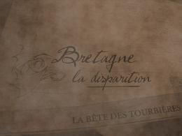 carte bretagne