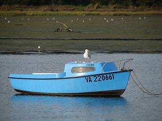 bateau