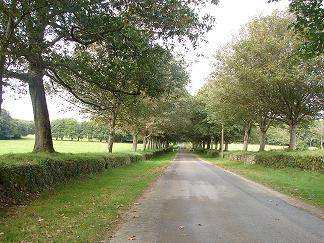 allee