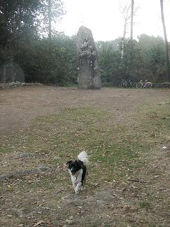 chien