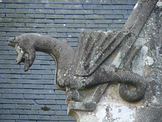 dragon