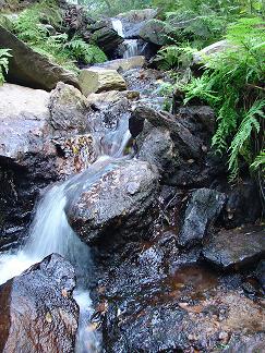 cascade